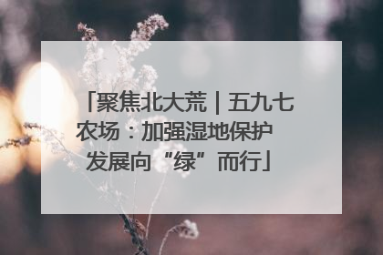 聚焦北大荒｜五九七农场：加强湿地保护 发展向“绿”而行