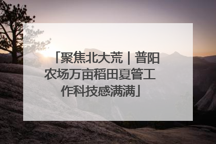 聚焦北大荒｜普阳农场万亩稻田夏管工作科技感满满
