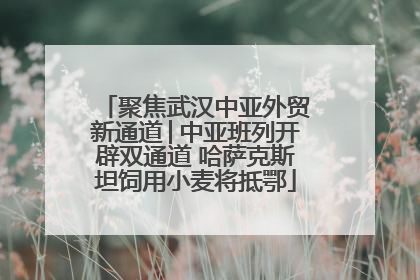 聚焦武汉中亚外贸新通道│中亚班列开辟双通道 哈萨克斯坦饲用小麦将抵鄂