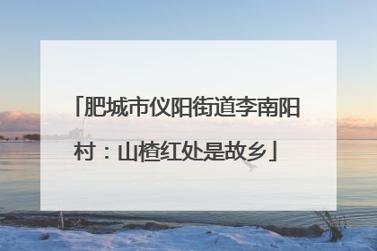 肥城市仪阳街道李南阳村：山楂红处是故乡