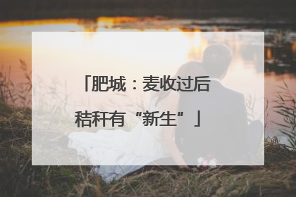 肥城：麦收过后秸秆有“新生”