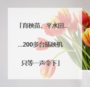 育秧苗、平水田……200多台插秧机只等一声令下