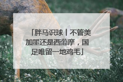胖马识球丨不管美加墨还是西葡摩，国足唯留一地鸡毛