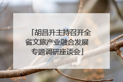胡昌升主持召开全省文旅产业融合发展专题调研座谈会