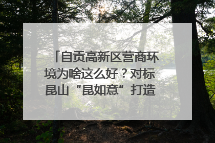 自贡高新区营商环境为啥这么好？对标昆山“昆如意”打造自贡“高兴办”｜美好生活有“盐”味