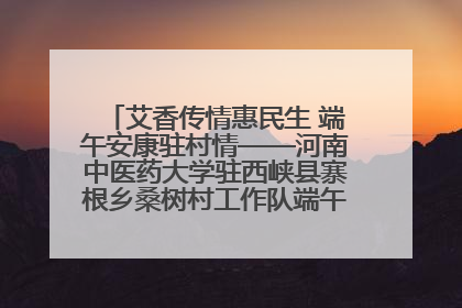 艾香传情惠民生 端午安康驻村情——河南中医药大学驻西峡县寨根乡桑树村工作队端午中医惠民记