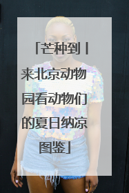 芒种到丨来北京动物园看动物们的夏日纳凉图鉴