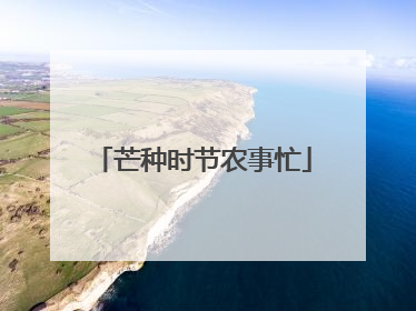 芒种时节农事忙
