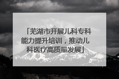芜湖市开展儿科专科能力提升培训，推动儿科医疗高质量发展