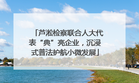 芦淞检察联合人大代表“典”亮企业，沉浸式普法护航小微发展