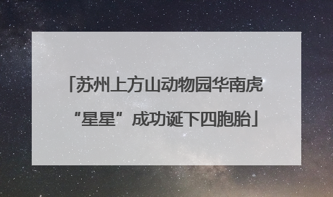 苏州上方山动物园华南虎“星星”成功诞下四胞胎