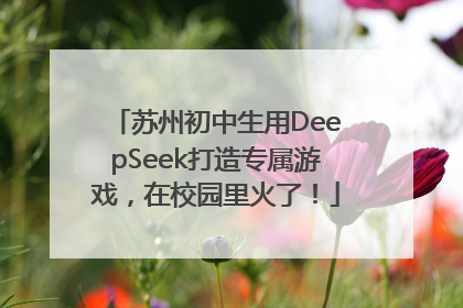 苏州初中生用DeepSeek打造专属游戏，在校园里火了！