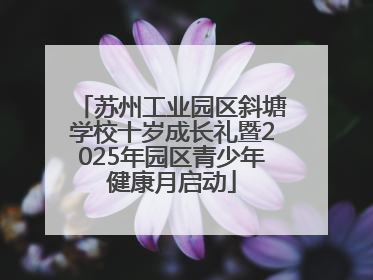 苏州工业园区斜塘学校十岁成长礼暨2025年园区青少年健康月启动