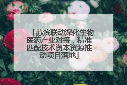 苏滨联动深化生物医药产业对接，精准匹配技术资本资源推动项目落地