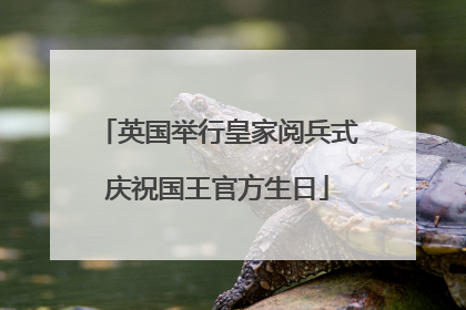 英国举行皇家阅兵式庆祝国王官方生日