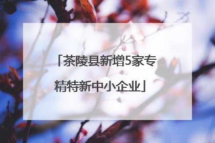 茶陵县新增5家专精特新中小企业