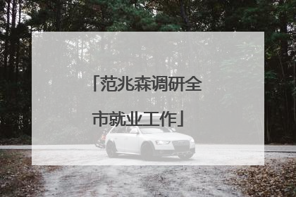 范兆森调研全市就业工作