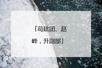 葛建团、赵峰，升副部