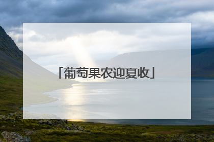 葡萄果农迎夏收