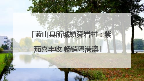 蓝山县所城镇舜岩村：紫茄喜丰收 畅销粤港澳