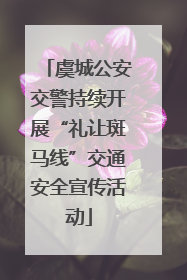 虞城公安交警持续开展“礼让斑马线”交通安全宣传活动