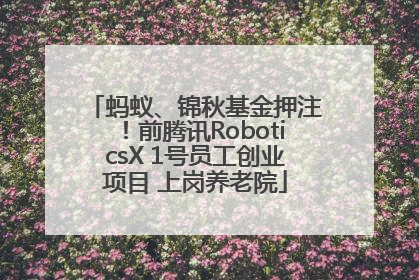 蚂蚁、锦秋基金押注！前腾讯RoboticsX 1号员工创业项目 上岗养老院