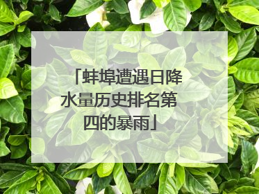 蚌埠遭遇日降水量历史排名第四的暴雨