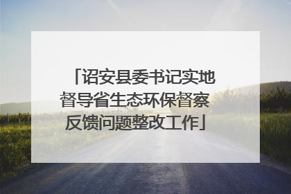 诏安县委书记实地督导省生态环保督察反馈问题整改工作