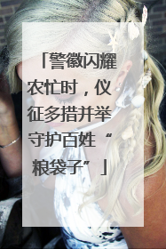 警徽闪耀农忙时，仪征多措并举守护百姓“粮袋子”