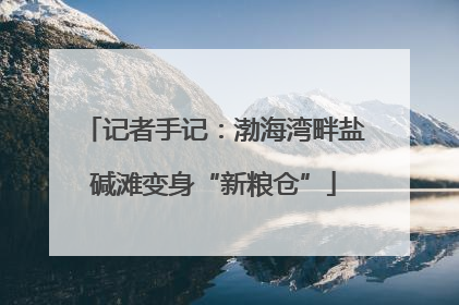 记者手记：渤海湾畔盐碱滩变身“新粮仓”
