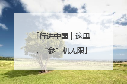 行进中国｜这里，“参”机无限