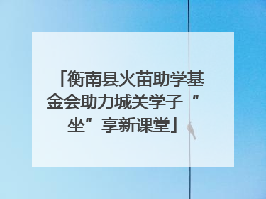 衡南县火苗助学基金会助力城关学子“坐”享新课堂