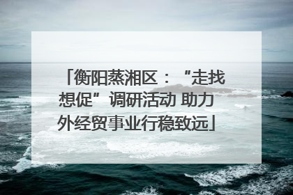 衡阳蒸湘区：“走找想促”调研活动 助力外经贸事业行稳致远