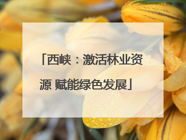 西峡：激活林业资源 赋能绿色发展