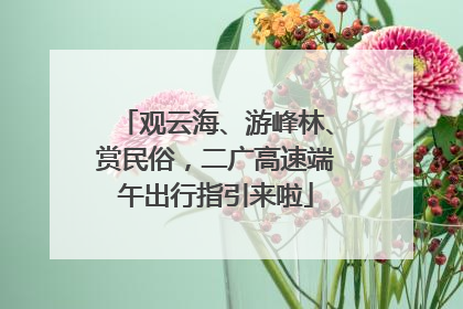 观云海、游峰林、赏民俗，二广高速端午出行指引来啦