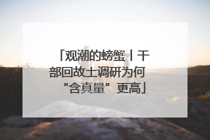 观潮的螃蟹丨干部回故土调研为何“含真量”更高