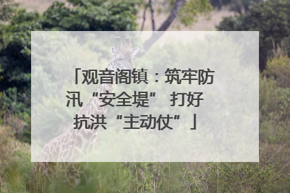 观音阁镇：筑牢防汛“安全堤” 打好抗洪“主动仗”
