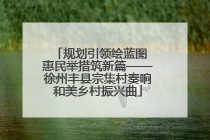 规划引领绘蓝图 惠民举措筑新篇——徐州丰县宗集村奏响和美乡村振兴曲