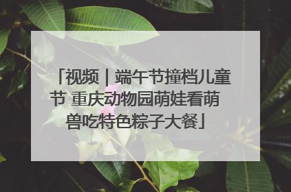 视频｜端午节撞档儿童节 重庆动物园萌娃看萌兽吃特色粽子大餐