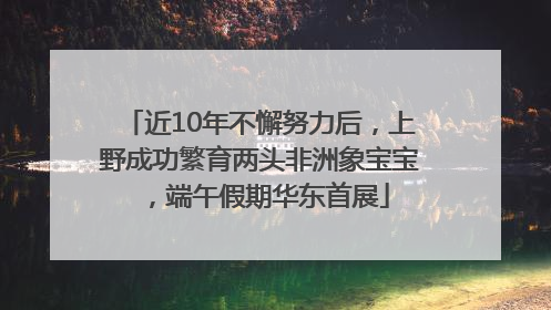 近10年不懈努力后，上野成功繁育两头非洲象宝宝，端午假期华东首展