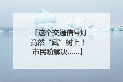 这个交通信号灯竟然“藏”树上！市民盼解决……