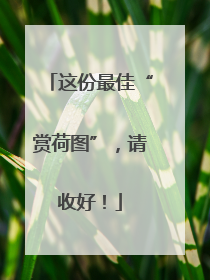 这份最佳“赏荷图”，请收好！