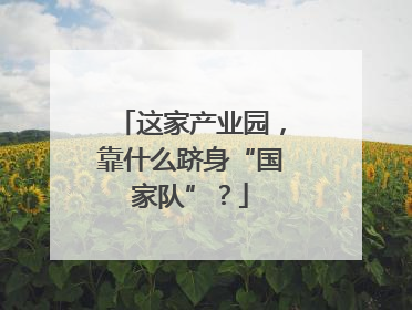 这家产业园，靠什么跻身“国家队”？