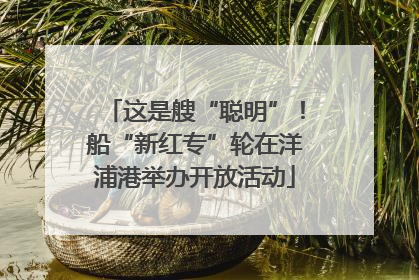 这是艘“聪明”！船“新红专”轮在洋浦港举办开放活动