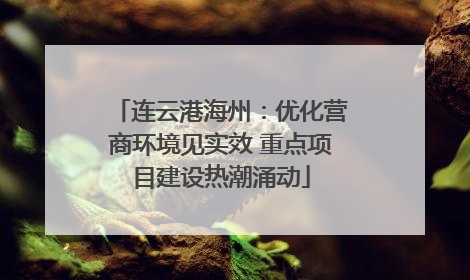连云港海州：优化营商环境见实效 重点项目建设热潮涌动
