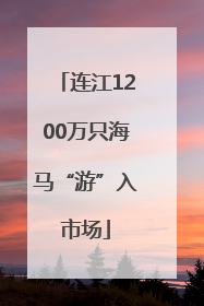 连江1200万只海马“游”入市场