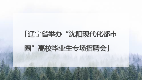 辽宁省举办“沈阳现代化都市圈”高校毕业生专场招聘会