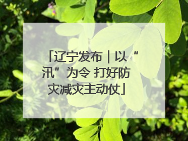 辽宁发布｜以“汛”为令 打好防灾减灾主动仗