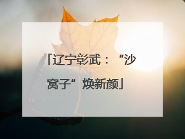 辽宁彰武：“沙窝子”焕新颜