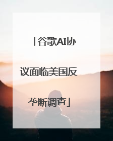 谷歌AI协议面临美国反垄断调查